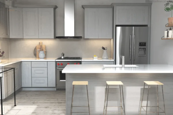 Rustic Grey Raised Panel
